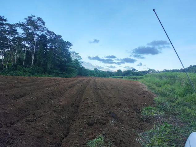 FINCA EN VENTA en Guápiles, Pococí, Limón — ₡ 50 000 000 - Foto 3 de 3