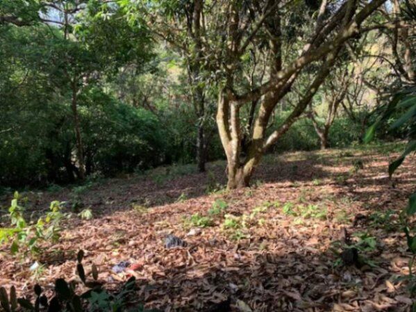 LA PROPIEDAD DE SUS SUEÑOS EN ATENAS.  en Atenas, Alajuela — ₡ 150 000 000