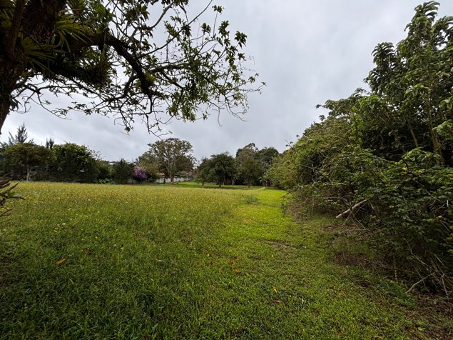 VENTA DE LOTE, USO MIXTO, HEREDIA, SANTO DOMINGO, SAN LUIS en Santo Domingo, Heredia — $207,400