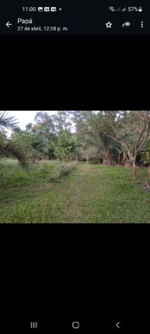 Quinta en venta con 4 cabañas y árboles frutales agua propia en San Pedro, Pérez Zeledón, San José — ₡ 95 000 000
