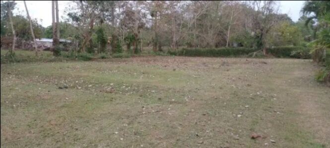 OFERTA - LOTE SAN ISIDRO DE PEÑAS BLANCAS en Peñas Blancas, San Ramón, Alajuela — ₡ 9 500 000