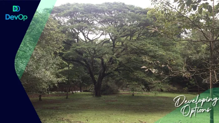 Venta de propiedad en Orotina- Uso mixto-Alta cobertura in Orotina, Alajuela — $600,000