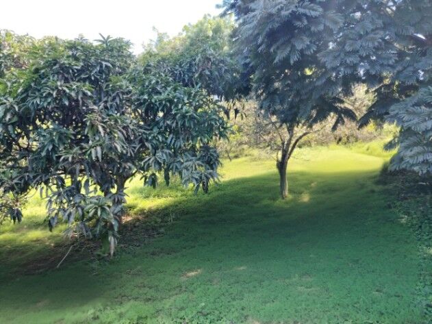 Venta Casa en Tarrazú in San Marcos, Tarrazú, San José — ₡ 150 000 000