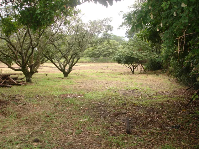 VENTA TERRENO DE DESARROLLO INDUSTRIAL, ALAJUELA, EL COYOL en Alajuela — $1,153,575 - Foto 2 de 10