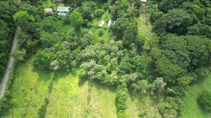 LAND FOR SALE IN NARANJITO, QUEPOS en Naranjito, Quepos, Puntarenas — $300,000