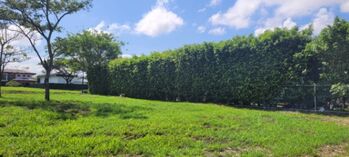 Lote en Hacienda espinal en San Rafael, Alajuela — $230,000 - Foto 4 de 8