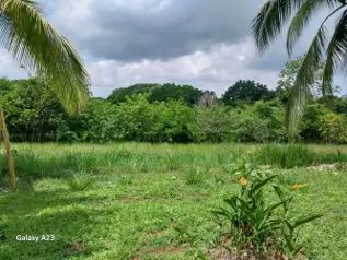 QUINTA EN OROTINA A LA VENTA en Orotina, Alajuela — 110 000 000 ₡ - Foto 2 de 7