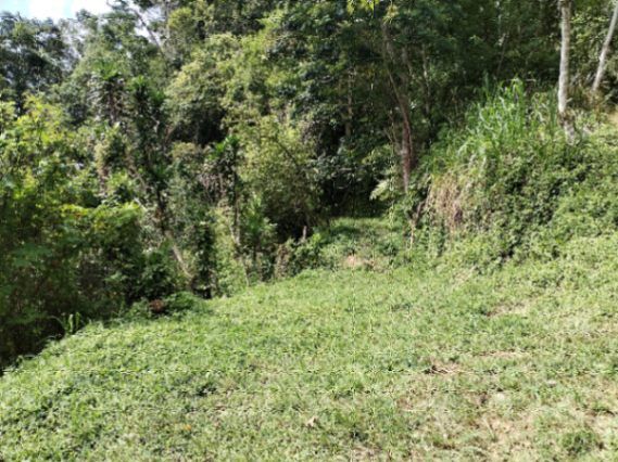 SE VENDE LOTE CON GRAN PRIVACIDAD, EN RIVAS COSTA RICA, PZ. in Rivas, Pérez Zeledón, San José — $450,000