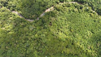 SE VENDE FINCA DE 425 HECTAREAS PARA DESARROLLO TURISTICO Y ECO-RESORT DE LUJO CERCA DE DOMINICAL in Naranjito, Quepos, Puntarenas — $3,780,000 - Photo 4 of 25