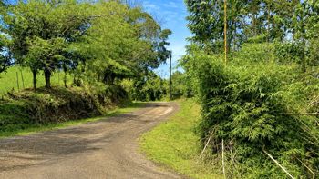 Vendo finca ganadera en Pueblo Nuevo de Cutris San Carlos, Alajuela in Cutris, San Carlos, Alajuela — $1,264,752 - Photo 5 of 21
