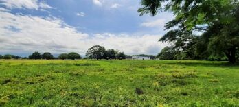 Se vende amplio lote de 7.5 hectáreas en Miramar Puntarenas 23-3495 in Miramar, Montes De Oro, Puntarenas — $3,784,100 - Photo 4 of 6