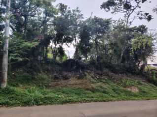 Lote residencial - San Rafael, Heredia - 1792 m² en San Rafael, Heredia — 95 000 000 ₡ - Foto 5 de 14