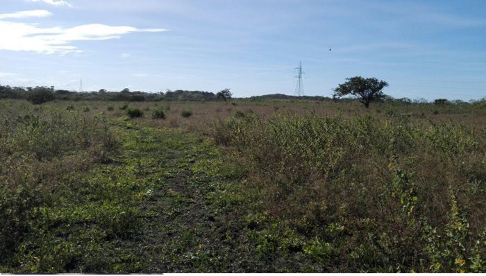 TERRENO 9 HA PARA USO MIXTO CAÑAS en Cañas, Guanacaste — $1,000,000 - Foto 2 de 3