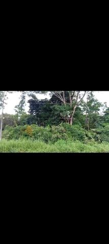 Propiedad en Upala  en Upala, Alajuela — ₡ 150 000 000