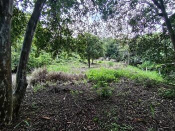 Venta de Lote en Mora-Colón. RAH 25-1801 en Colón, Mora, San José — 96 000 000 ₡ - Foto 5 de 6
