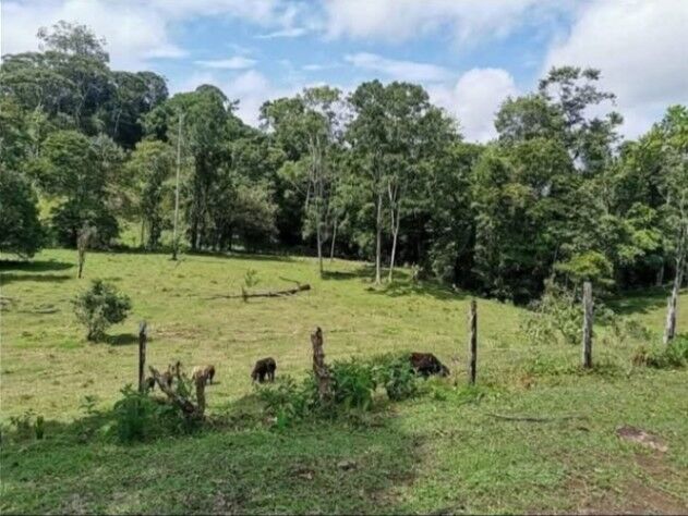 ESPECTACULAR FINCA EN CUTRIS DE SAN CARLOS.  en Cutris, San Carlos, Alajuela — ₡ 225 000 000
