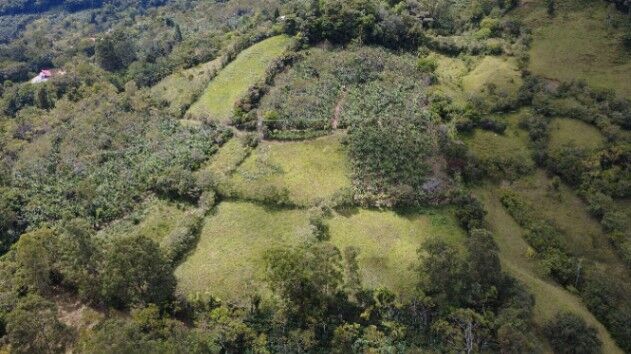 TERRENO EN VENTA EN TIRRÁ DE RIVAS – PRIVACIDAD, NATURALEZA Y HERMOSOS AMANECERES en Rivas, Pérez Zeledón, San José — $235,000