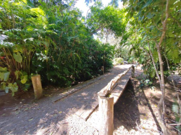 Venta de Finca en San Rafael de Heredia. RAH 24-1448 in Ángeles, San Rafael, Heredia — $1,275,120