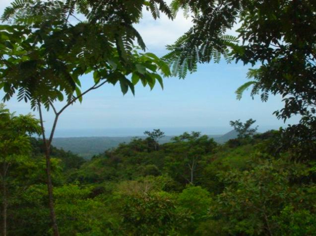 Finca en venta Cobano Puntarenas 82 hectareas vista al mar en Cóbano, Puntarenas — $2,000,000 - Foto 2 de 8