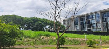 Venta de Lote, Heredia, Cariari - Foto 3 de 3
