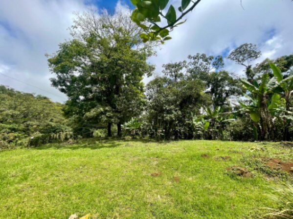 VENTA DE LOTE l CARIBLANCO, SARAPIQUÍ l ALAUELA l PRECIO NEGOCIABLE. en Sarapiquí, Alajuela — ₡ 25 000 000