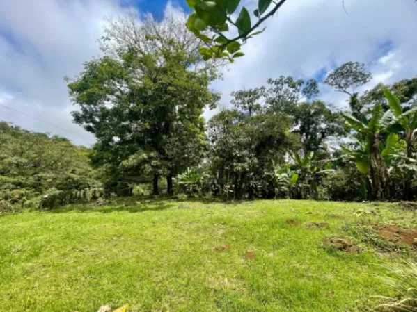 VENTA DE LOTE l CARIBLANCO, SARAPIQUÍ l ALAUELA l PRECIO NEGOCIABLE. en Sarapiquí, Alajuela — ₡ 25 000 000