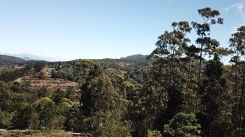 Venta de Finca + Cabaña en León Cortéz-Castro San Andrés, San José. RAH 26-1589 en San Andrés, León Cortés Castro, San José — 140 000 000 ₡ - Foto 2 de 15