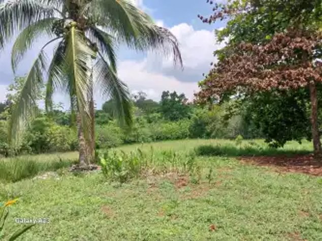 QUINTA EN OROTINA A LA VENTA in Orotina, Alajuela — ₡ 110 000 000