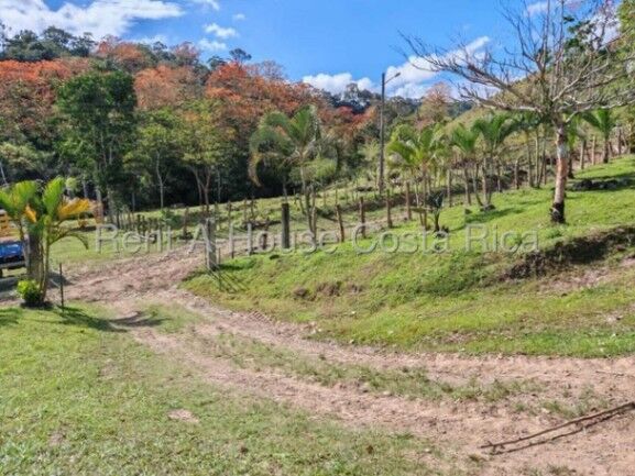 MLS-26-1444 LS VENTA FINCA MURCIA TURRIALBA CONTACTENOS AL # 86127562 en Turrialba, Cartago — ₡ 700 000 000