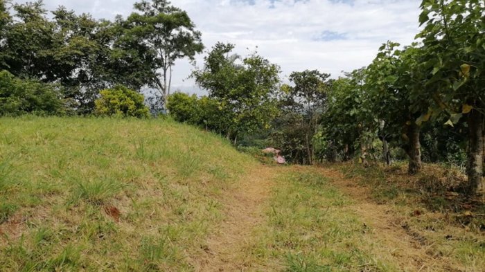 Entorno rural con vistas en Atenas in Atenas, Alajuela — $117,000