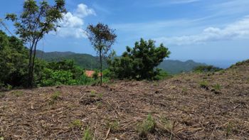 Lote Premium de 999 m² con Vista al Mar en Lomas del Mar, Guanacaste in Sardinal, Carrillo, Guanacaste — $239,000 - Photo 5 of 11