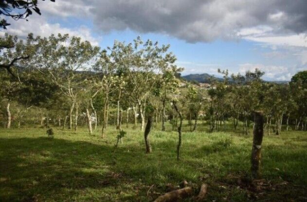 Venta de Lote en San Ramon de Alajuela. RAH 26-84 en Volio, San Ramón, Alajuela — ₡ 140 000 000