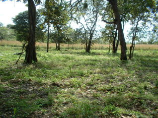 Venta de Finca en Bagaces in Bagaces, Guanacaste — $210,000 - Photo 4 of 12