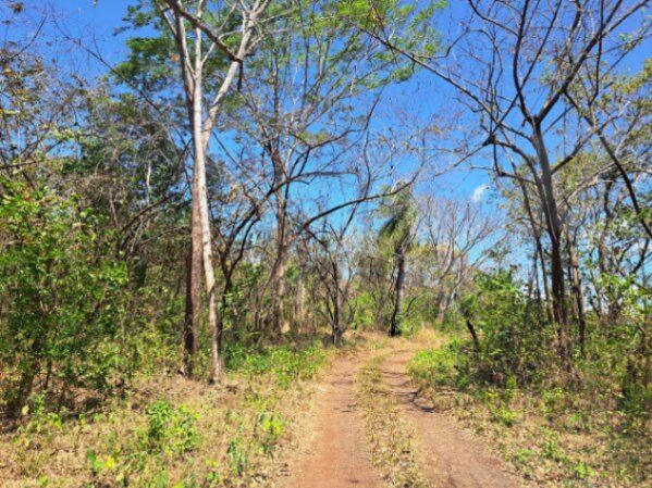 10 Ha para predio o bodegas en Orotina en La Ceiba, Orotina, Alajuela — $800,000