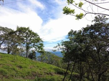 Se vende amplio lote de 8,400m2 en San Antonio Escazú 23-1473 en San Antonio, Escazú, San José — 416 500 000 ₡ - Foto 4 de 22