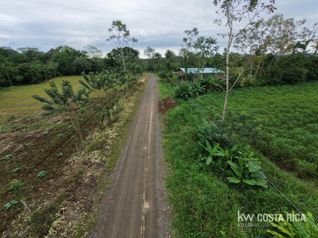 Terreno 7168m2 en venta en Florencia, San Carlos, Alajuela — 35 000 000 ₡ - Foto 3 de 5
