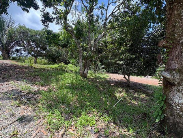 Venta de Lote en El Centro de Quepos, Puntarenas. RAH 27-400 in Quepos, Puntarenas — ₡ 24 500 000