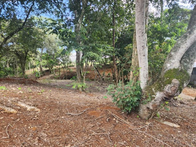 Lote en venta Atenas - Alajuela in Atenas, Alajuela — $885,400 - Photo 3 of 10