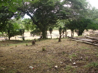 Venta Terreno de Desarrollo Industrial, Alajuela, El Coyol