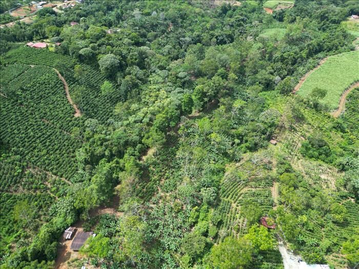 Finca 2 hectareas /land for sale 2 hectares in Cajón, Pérez Zeledón, San José — $150,000