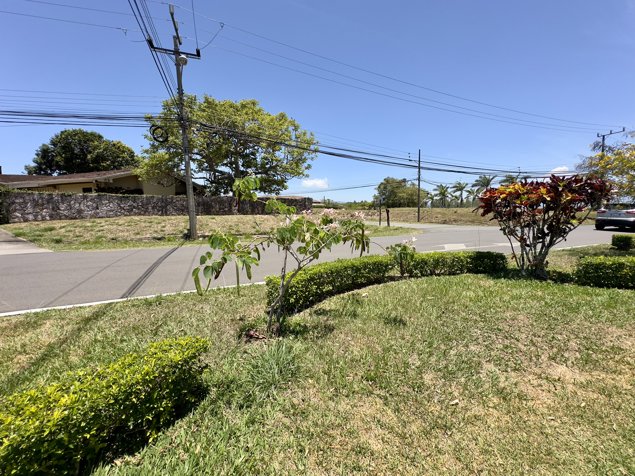 Lote / Terreno residencial en venta en La Guácima, Alajuela en Guácima, Alajuela — $169,200 - Foto 3 de 10