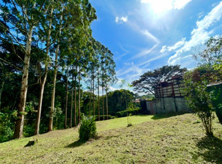 VENTA DE LOTE PLANO, 1.416,67 m², SAN RAMÓN, LA UNIÓN in San Ramón, La Unión, Cartago — $255,500 - Photo 5 of 9