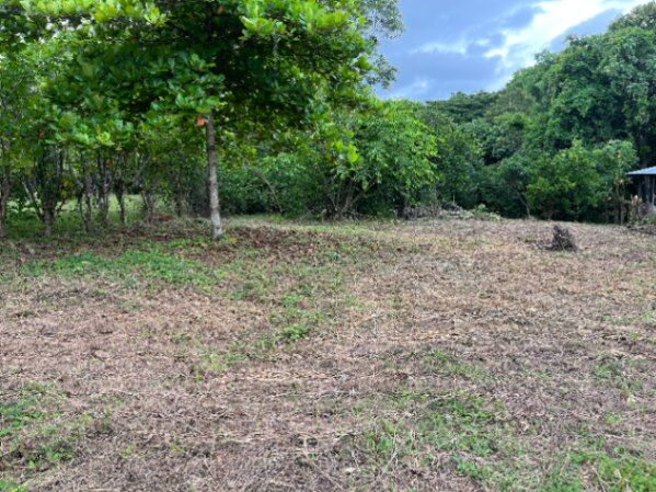 Venta de Lote in Coyolar, Orotina, Alajuela — ₡ 30 000 000