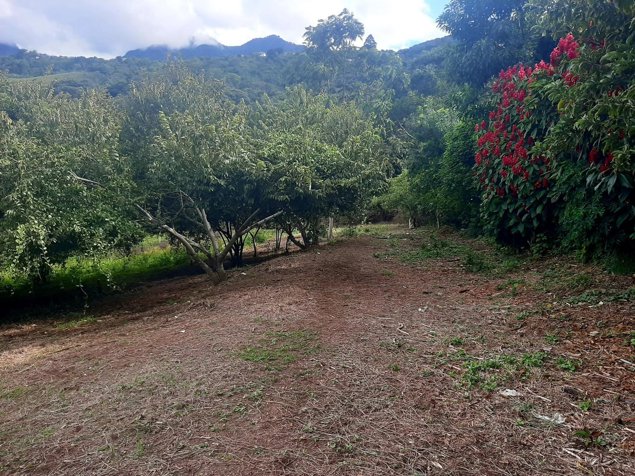 Lot for sale of 5,177 m² with panoramic views in Escazú #25-1136 GS in San Antonio, Escazú, San José — $395,000 - Photo 1 of 10