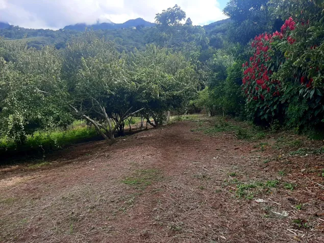 Lot for sale of 5,177 m² with panoramic views in Escazú #25-1136 GS in San Antonio, Escazú, San José — $395,000