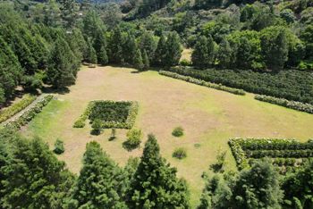 Farm For Sale In Grecia Costa Rica – 28,000 m² in San Isidro, Grecia, Alajuela — 252 000 000 ₡ - Photo 2 of 16
