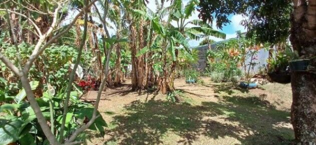 Venta de hermoso lote en Santo Domingo de Heredia precio negociable 26-1495 in Orotina, Alajuela — ₡ 165 000 000