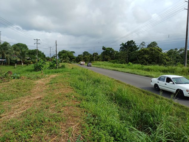 VENTA DE LOTE USO DE SUELO MIXTO, HEREDIA, SARAPIQUI, HORQUETAS en Puerto Viejo, Sarapiquí, Heredia — ₡ 23 000 000 - Foto 3 de 4