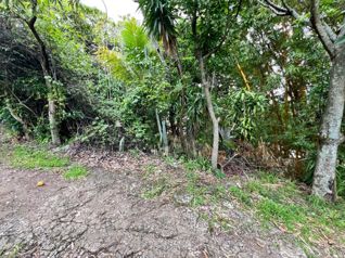 Se Vende Lote en Santa Ana Urbanizacion Madre Selva en Santa Ana, San José — $150,000 - Foto 4 de 14