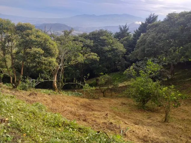 SALE LOT, SAN JOSÈ, DESAMPARADOS, JERICÓ in Desamparados, San José — ₡ 32 000 000